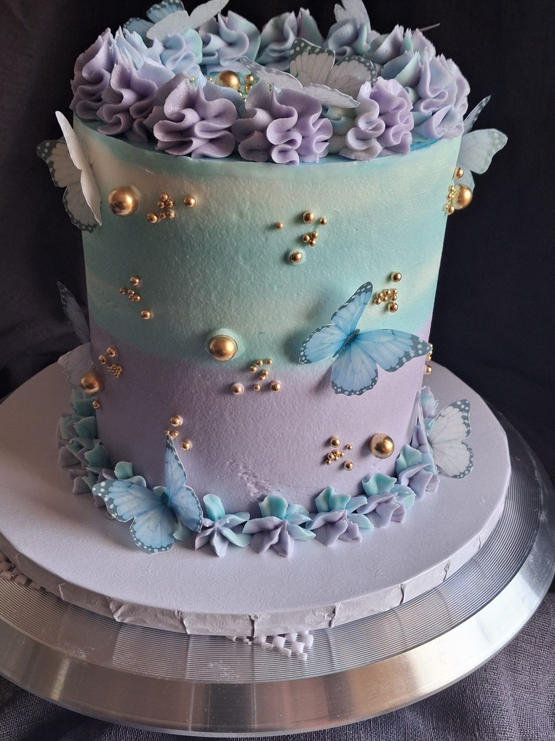 Ombre Butterfly