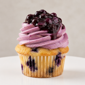 Vanilla Blueberry Cupcake